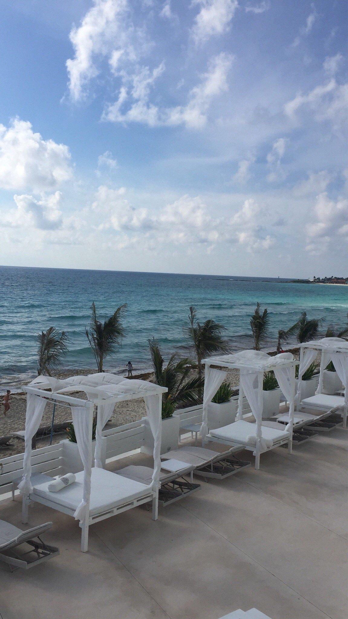 Terraza Olea — foto 2