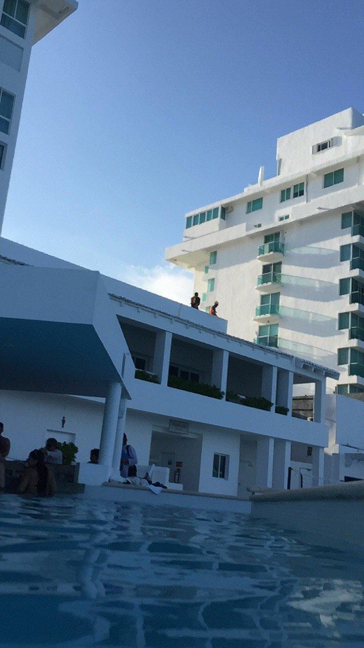 Terraza Olea — foto 3