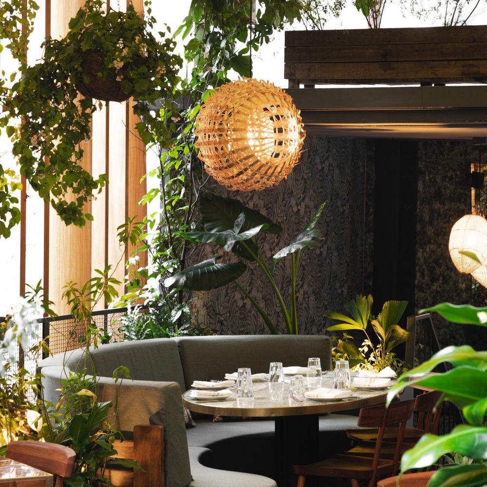 Benito Juárez MICHELIN Restaurants — foto 2