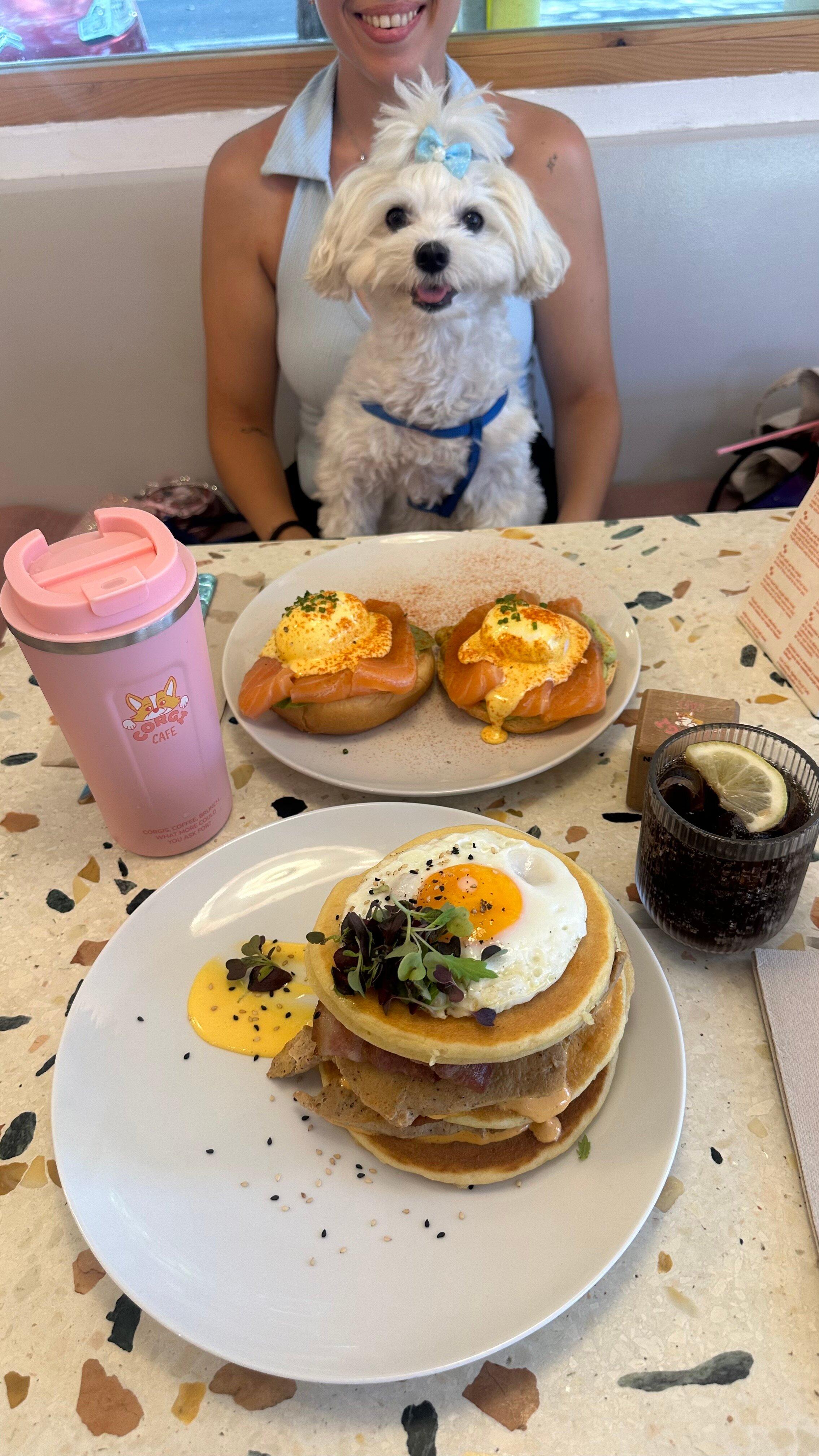Corgi Cafe Specialty Coffee and Brunch Barcelona