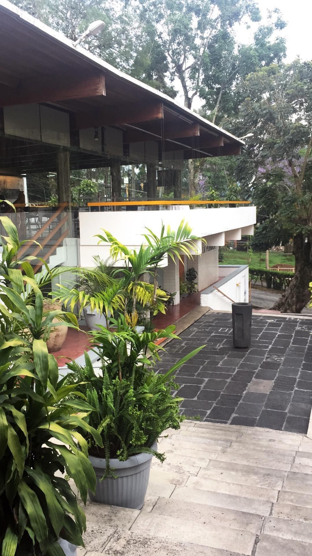 Restaurante la Pérgola — foto 2