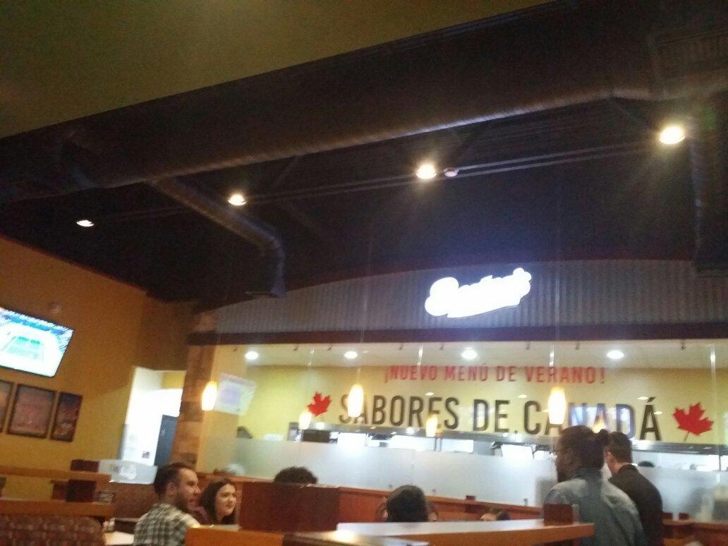 Boston's Pizza Chihuahua